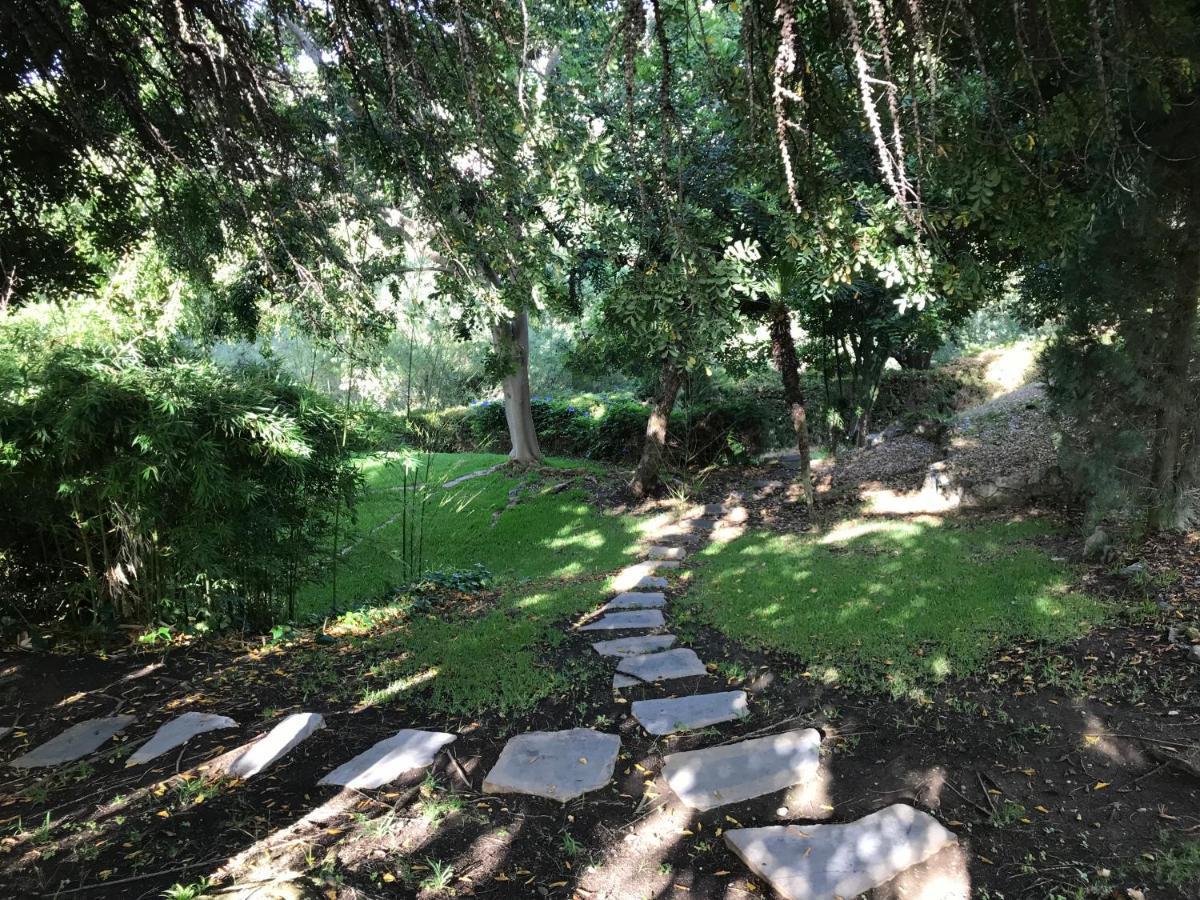 Villa Lampara En La Colina ベナアビス エクステリア 写真